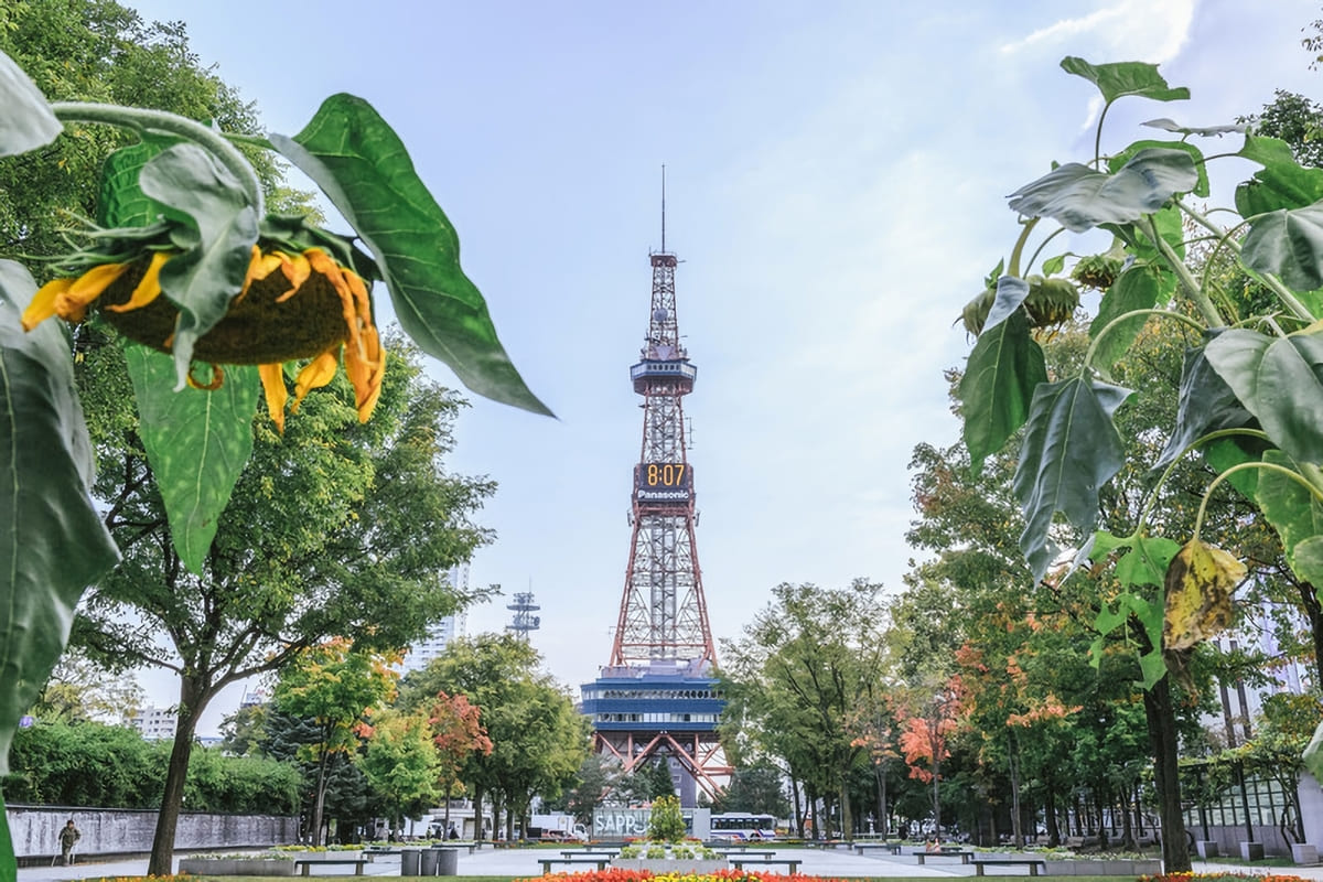 札幌大通公園とテレビ塔